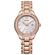 reloj_citizen_FE1233-52A_1